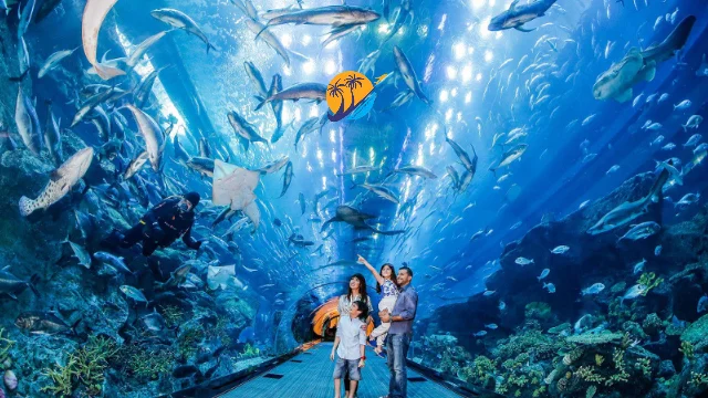 Dubai Aquarium Ticket